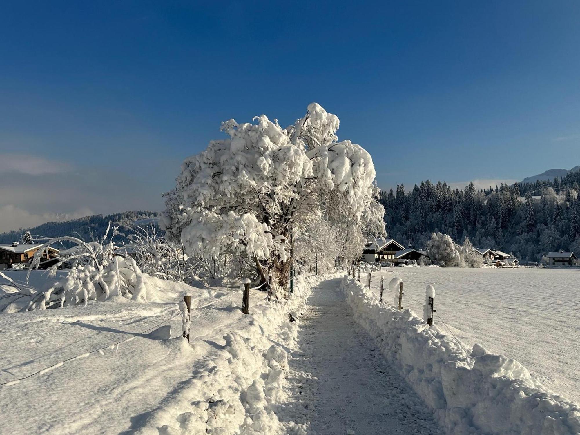 Pon-Apart Reith bei Kitzbühel エクステリア 写真